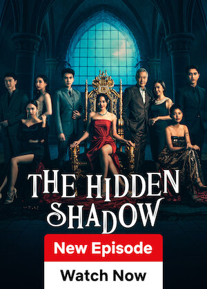The Hidden Shadow poster
